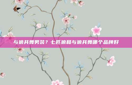 与狼共舞男装？七匹狼和与狼共舞哪个品牌好