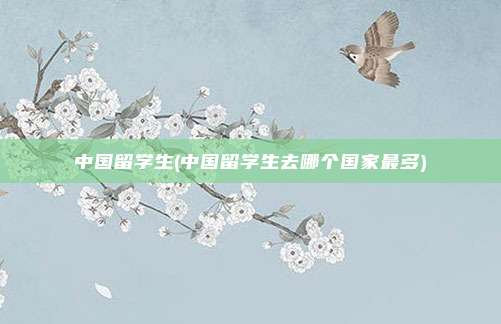 中国留学生(中国留学生去哪个国家最多)
