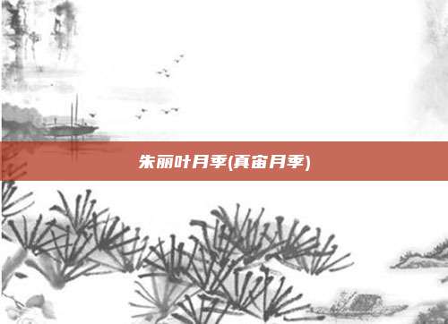 朱丽叶月季(真宙月季)