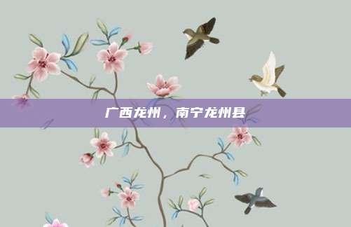 广西龙州,南宁龙州县