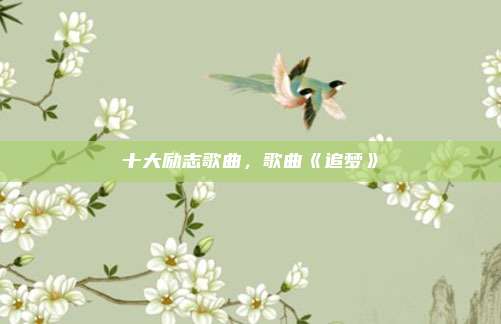 十大励志歌曲,歌曲《追梦》