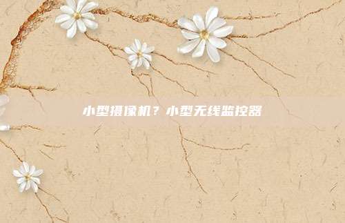 小型摄像机?小型无线监控器