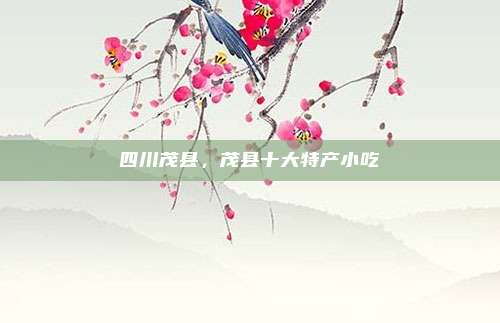 四川茂县，茂县十大特产小吃