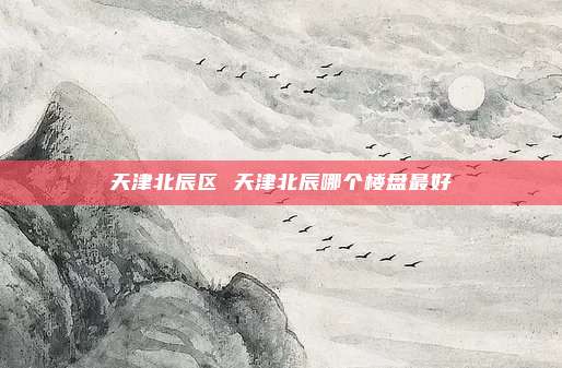 天津北辰区 天津北辰哪个楼盘最好