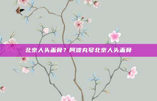北京人头盖骨?阿波丸号北京人头盖骨