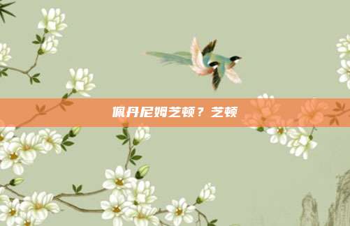 佩丹尼姆芝顿？芝顿