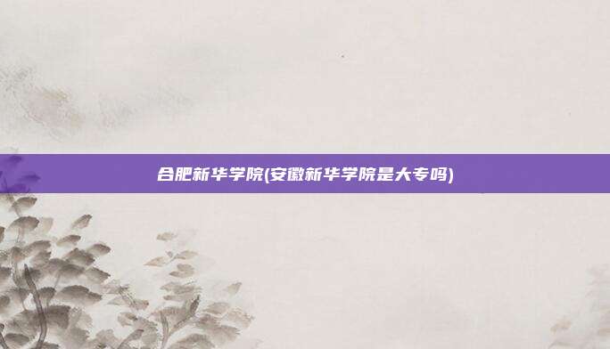 合肥新华学院(安徽新华学院是大专吗)