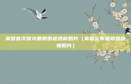英国首次曝光圆明园被毁前照片（英国公布圆明园原貌照片）