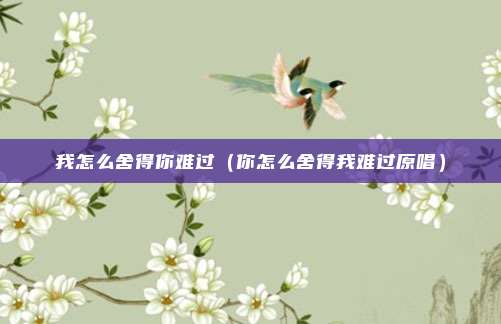 我怎么舍得你难过（你怎么舍得我难过原唱）