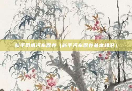 新手司机汽车保养（新手汽车保养基本知识）