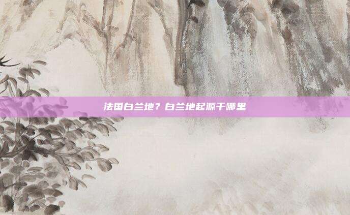 法国白兰地?白兰地起源于哪里