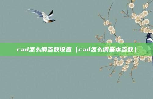 cad怎么调参数设置（cad怎么调基本参数）