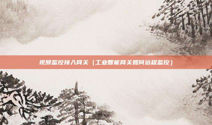视频监控接入网关(工业智能网关如何远程监控)