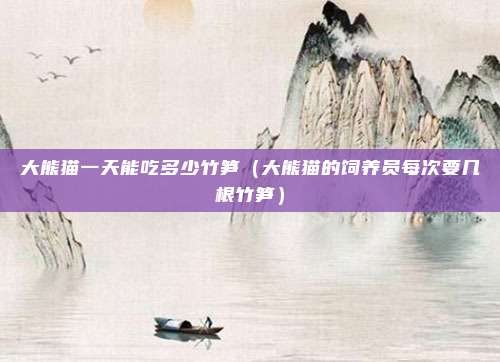 大熊猫一天能吃多少竹笋(大熊猫的饲养员每次要几根竹笋)