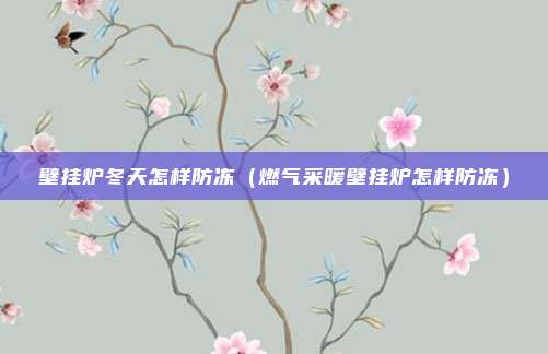 壁挂炉冬天怎样防冻（燃气采暖壁挂炉怎样防冻）
