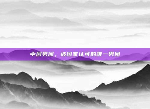 中国男团,被国家认可的唯一男团