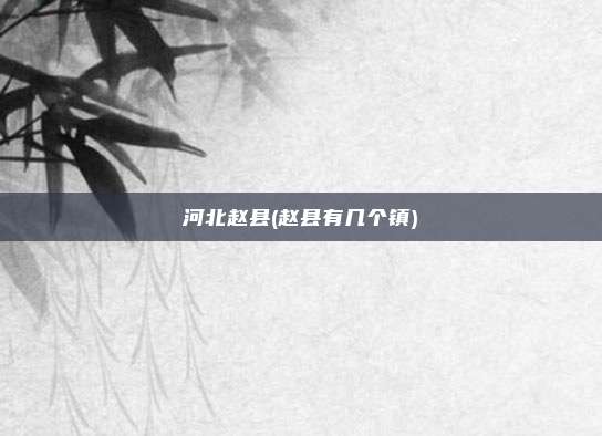 河北赵县(赵县有几个镇)