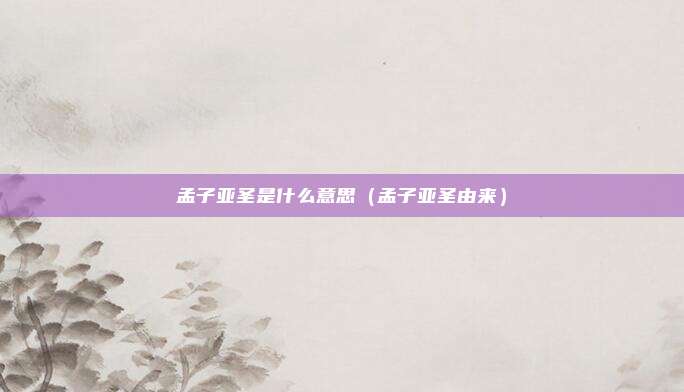 孟子亚圣是什么意思（孟子亚圣由来）