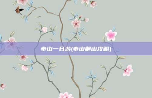 泰山一日游(泰山爬山攻略)