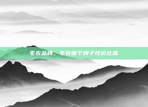 毛衣品牌,毛衣哪个牌子性价比高