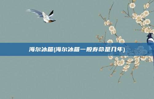 海尔冰箱(海尔冰箱一般寿命是几年)
