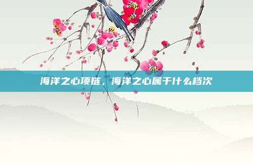 海洋之心项链,海洋之心属于什么档次