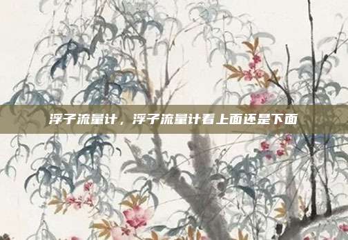 浮子流量计,浮子流量计看上面还是下面