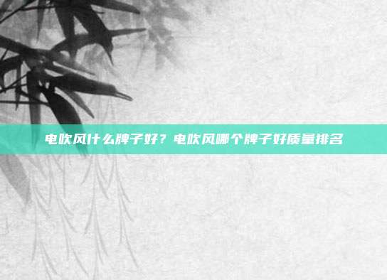 电吹风什么牌子好?电吹风哪个牌子好质量排名