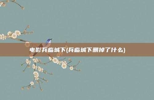 电影兵临城下(兵临城下删掉了什么)