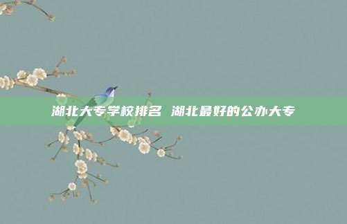 湖北大专学校排名 湖北最好的公办大专