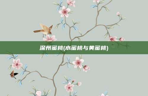 深州蜜桃(水蜜桃与黄蜜桃)