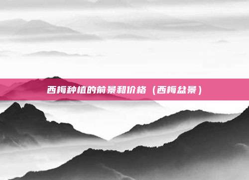 西梅种植的前景和价格(西梅盆景)