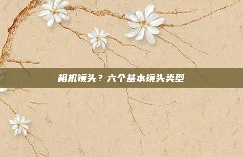 相机镜头?六个基本镜头类型