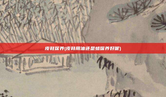 皮鞋保养(皮鞋用油还是蜡保养好呢)