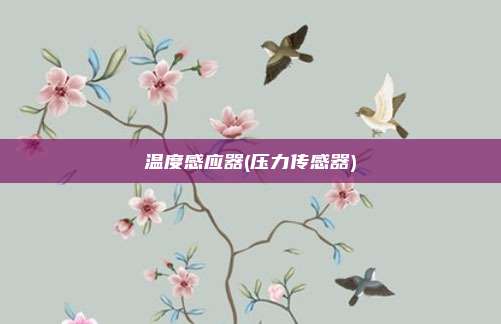 温度感应器(压力传感器)
