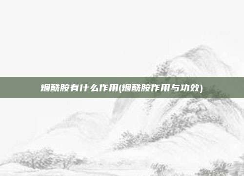 烟酰胺有什么作用(烟酰胺作用与功效)