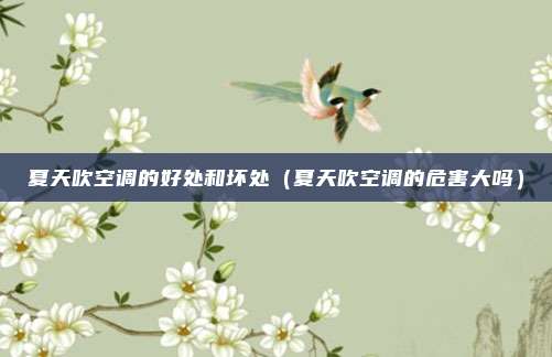 夏天吹空调的好处和坏处（夏天吹空调的危害大吗）