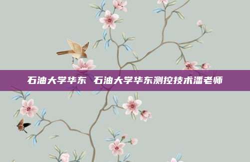 石油大学华东 石油大学华东测控技术潘老师