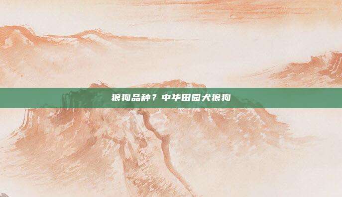 狼狗品种?中华田园犬狼狗