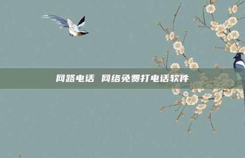 网路电话 网络免费打电话软件