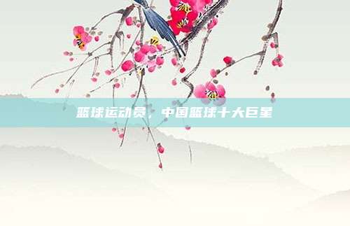 篮球运动员，中国篮球十大巨星