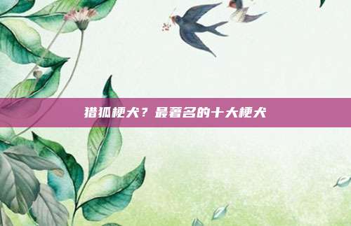 猎狐梗犬？最著名的十大梗犬
