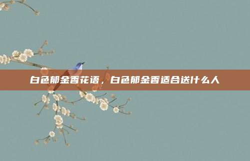 白色郁金香花语,白色郁金香适合送什么人