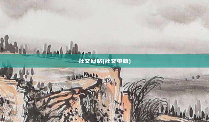 社交网站(社交电商)