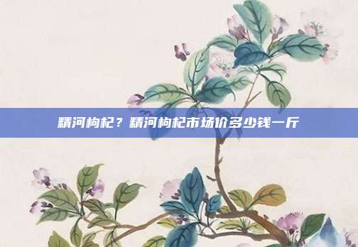 精河枸杞?精河枸杞市场价多少钱一斤