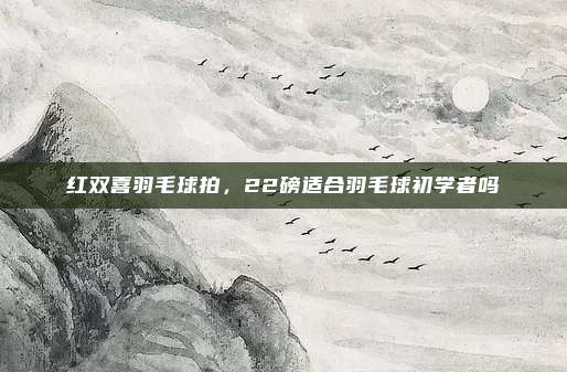 红双喜羽毛球拍,22磅适合羽毛球初学者吗