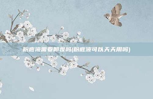 粉底液需要卸妆吗(粉底液可以天天用吗)