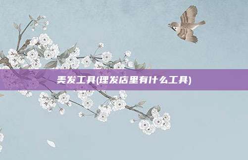 美发工具(理发店里有什么工具)