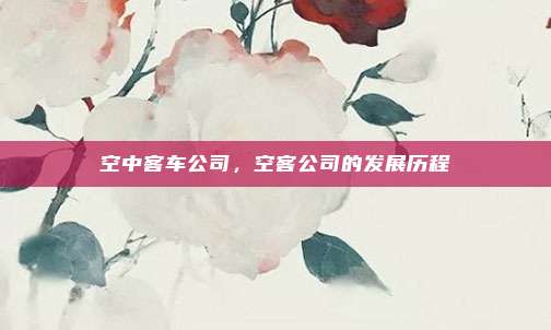 空中客车公司,空客公司的发展历程