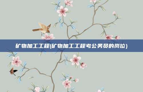 矿物加工工程(矿物加工工程考公务员的岗位)
